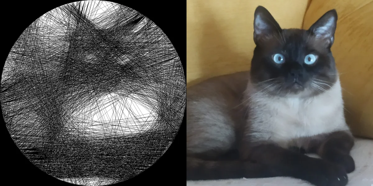 Thread Portrait Project